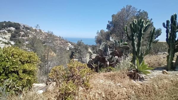 Terreno en Altea la Vella