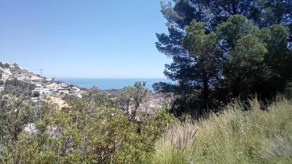 Terreno en Altea la Vella