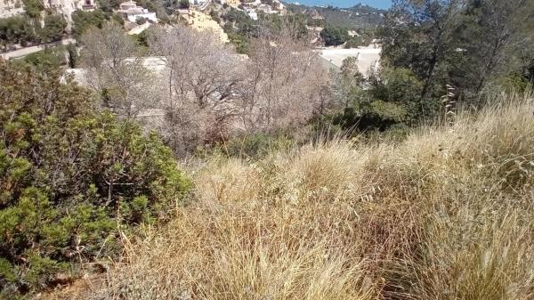 Terreno en Altea la Vella