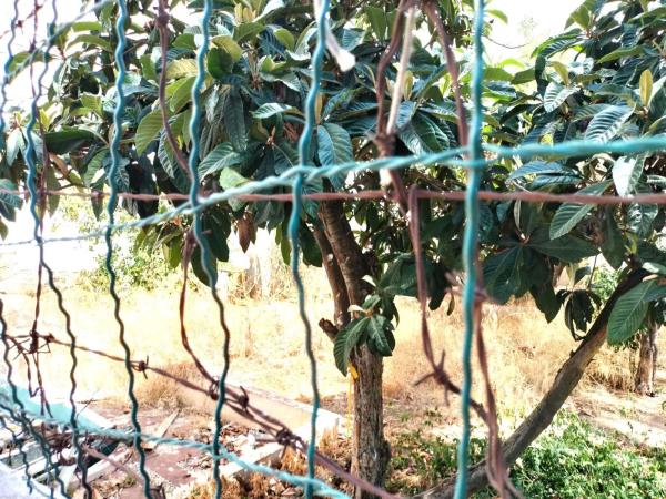 Terreno en Pueblo Poniente