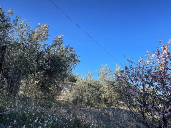 Terreno en Benimantell