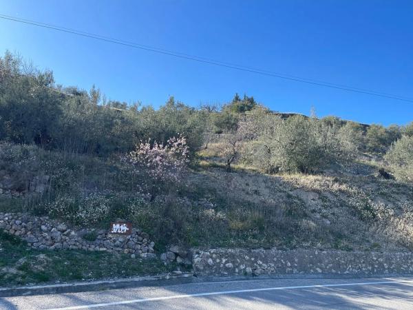 Terreno en Benimantell