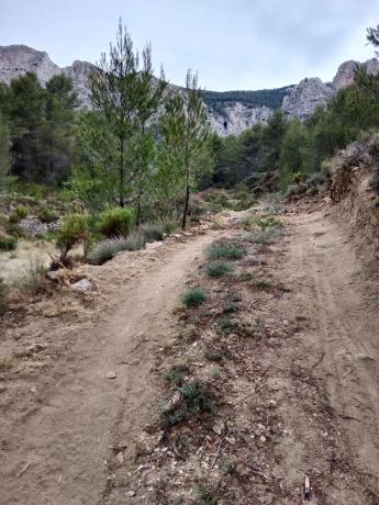 Terreno en Cv-70, km 21