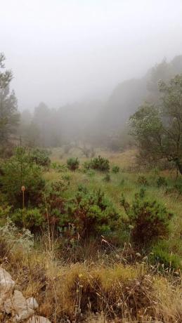 Terreno en Cv-70, km 21