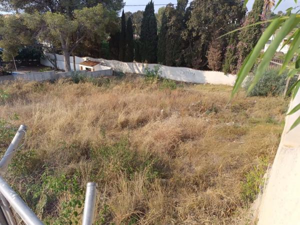 Terreno en Partida Corona San Rafael, 2