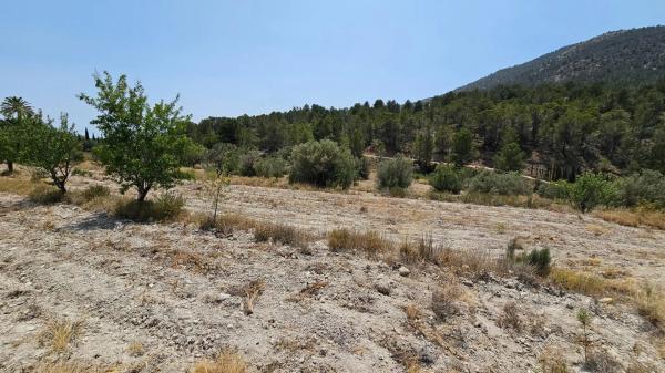 Terreno en Finestrat Pueblo