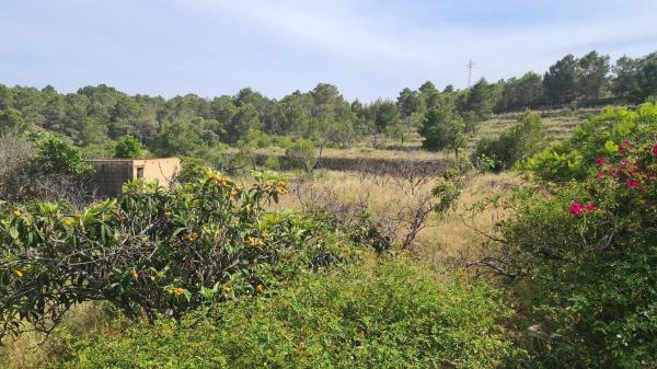 Terreno en via Sense Nom