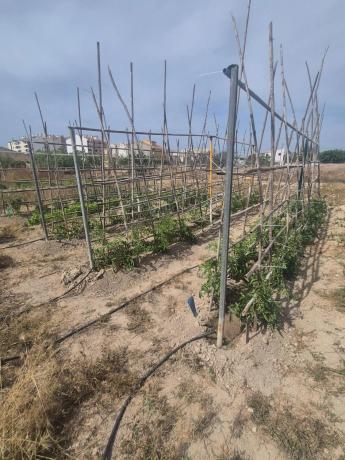 Terreno en El Secanet - Hacienda del Sol