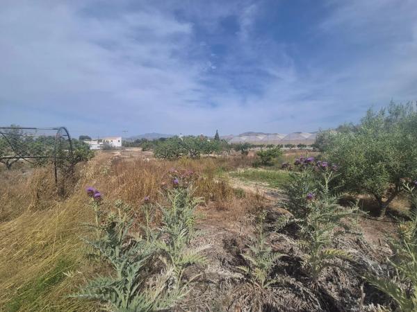 Terreno en El Secanet - Hacienda del Sol