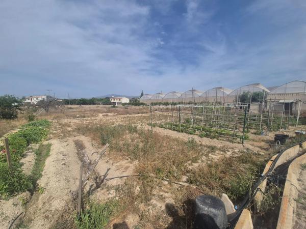 Terreno en El Secanet - Hacienda del Sol