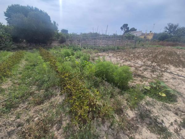 Terreno en El Secanet - Hacienda del Sol