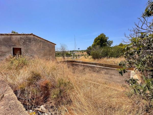 Terreno en La Alberca