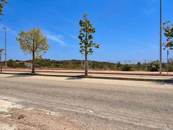 Terreno en La Alberca