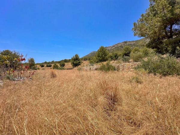 Terreno en La Alberca