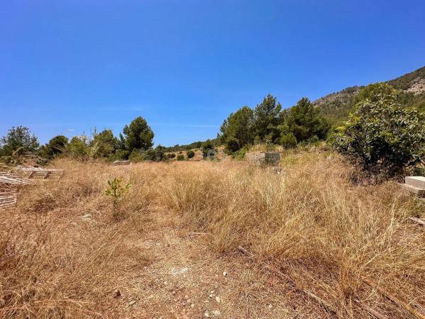 Terreno en La Alberca