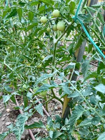 Terreno en partida sagnon s/n