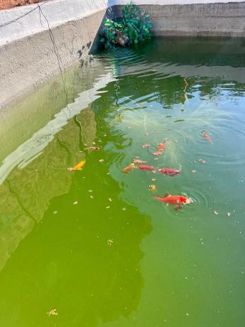 Terreno en partida sagnon s/n