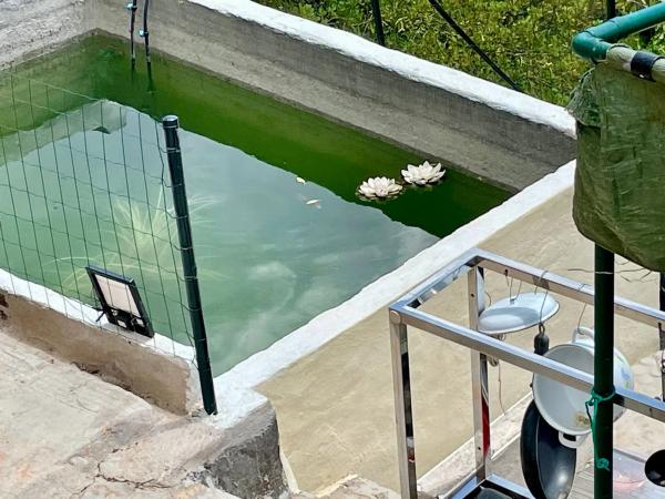 Terreno en partida sagnon s/n