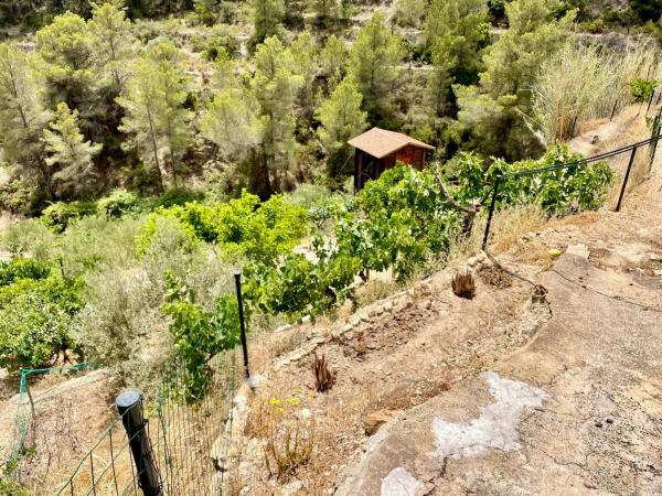 Terreno en partida sagnon s/n