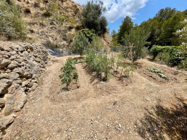 Terreno en partida sagnon s/n