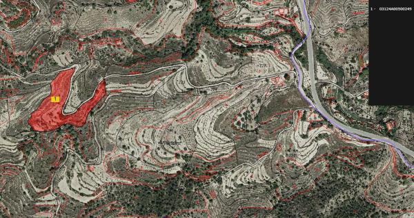 Terreno en Almusent Alt s/n