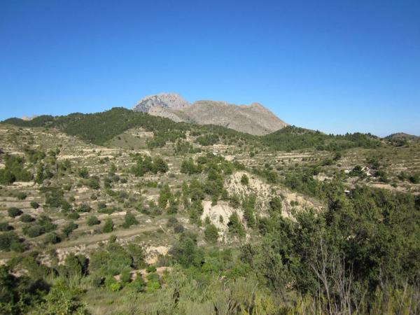 Terreno en Partida Almusent de Baix, 15