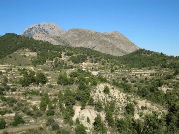 Terreno en Partida Almusent de Baix, 15
