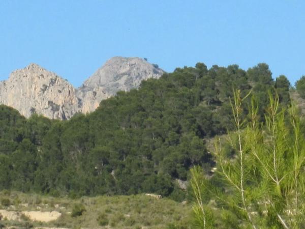 Terreno en Partida Almusent de Baix, 15