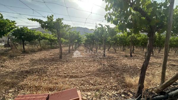 Terreno en Pedanías Este