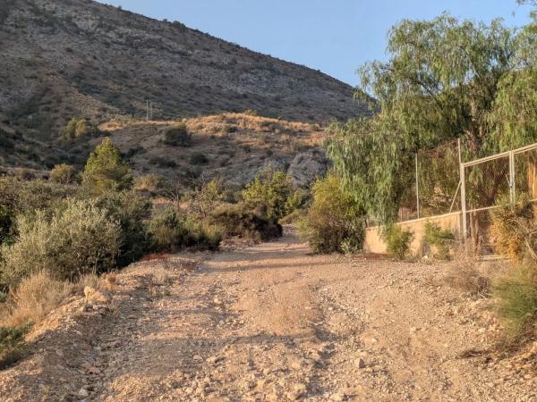 Terreno en camino Monforte del Cid s/n