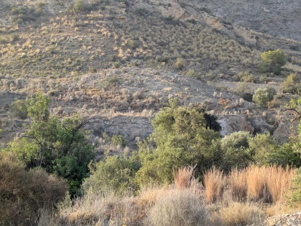 Terreno en camino Monforte del Cid s/n