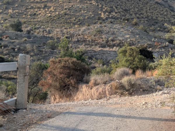 Terreno en camino Monforte del Cid s/n