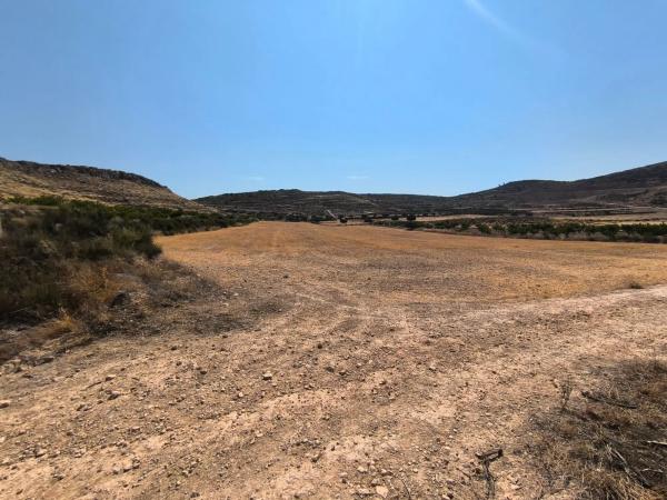 Terreno en Pinoso