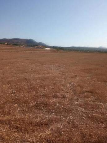 Terreno en Paraje los Pinos Uno, 59