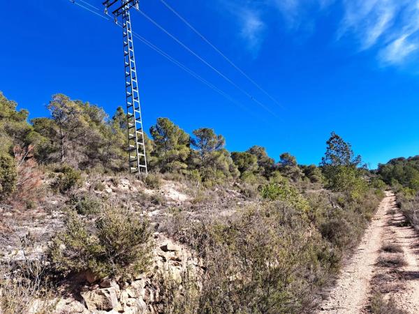 Terreno en Diseminado Tres Fuentes s/n