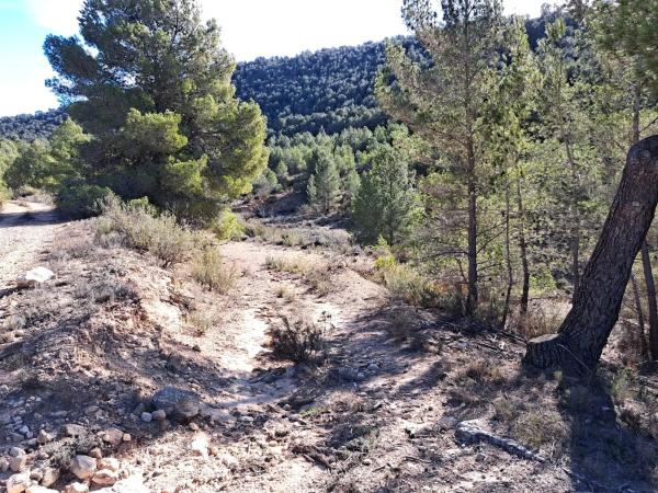 Terreno en Diseminado Tres Fuentes s/n