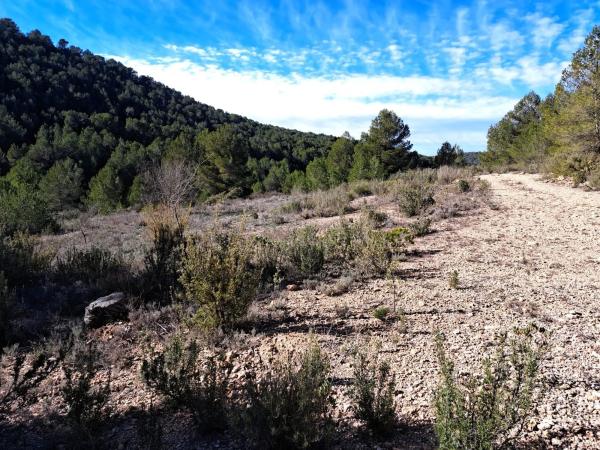 Terreno en Diseminado Tres Fuentes s/n