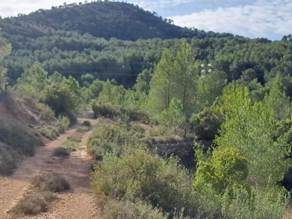 Terreno en Diseminado Tres Fuentes s/n