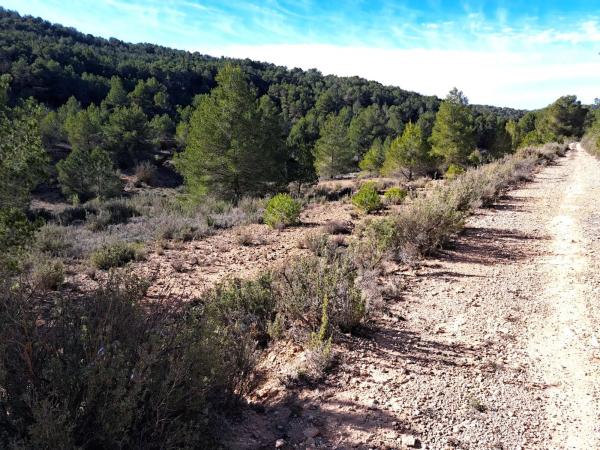 Terreno en Diseminado Tres Fuentes s/n