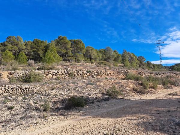 Terreno en Diseminado Tres Fuentes s/n