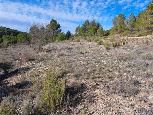 Terreno en Diseminado Tres Fuentes s/n