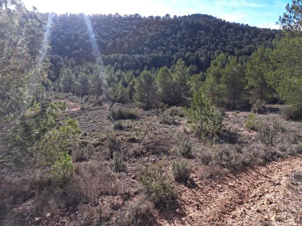 Terreno en Diseminado Tres Fuentes s/n