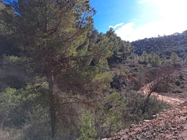 Terreno en Diseminado Tres Fuentes s/n