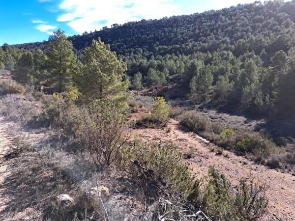 Terreno en Diseminado Tres Fuentes s/n