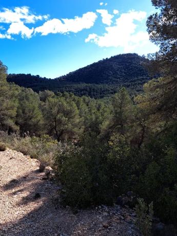 Terreno en Diseminado Tres Fuentes s/n