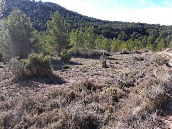 Terreno en Diseminado Tres Fuentes s/n