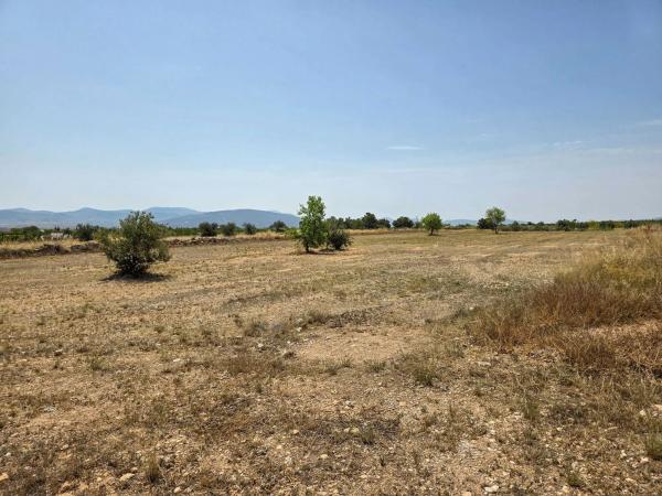 Terreno en carretera de Raspay al Paredon, 24