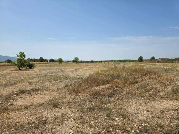 Terreno en carretera de Raspay al Paredon, 24