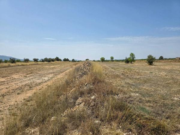Terreno en carretera de Raspay al Paredon, 24