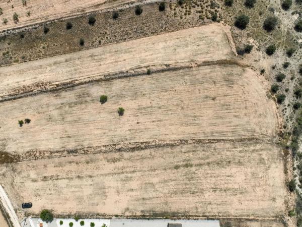 Terreno en carretera de Raspay al Paredon, 24